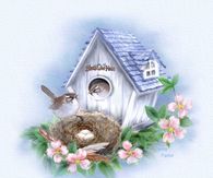 Home