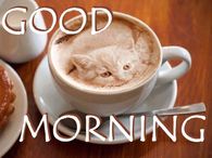 Good Morning