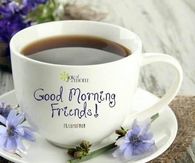 Good Morning Friends
