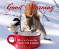 Winter Good Morning