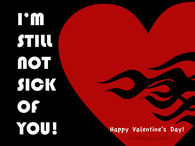 Still not sick of you 