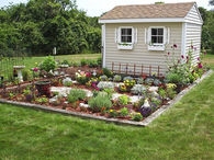 Pretty Flower Garden & Garden Shed