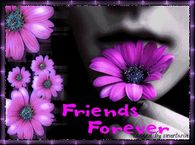 Friends Forever