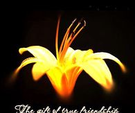 The gift of true friendship.....