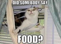 Did somebody say