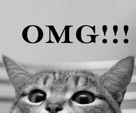 OMG Its Monday