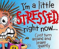 I'm a little stressed right now