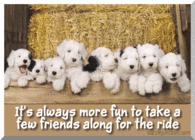 It's always more fun to take a few friends along for the ride