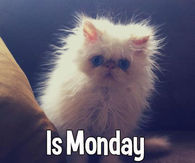 Is monday gone yet