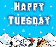 Happy Tuesday