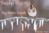 Tuesday Blessings Stay Warm