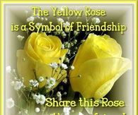 Friendship Rose Quote