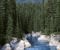 Flowing River