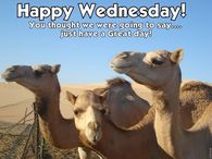 Happy Wednesday