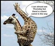 I can almost see Thursday