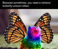 sometimes all you need