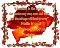 Friendship is like a violi....
