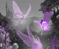 Purple Fairies