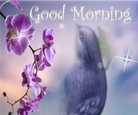 Good Morning Bless Your Day