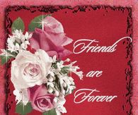Friends are Forever