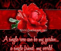 A single rose can be my garden...a single friend my world