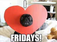 I love Fridays