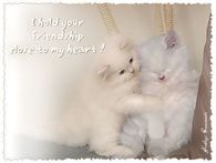 I hold your friendship close to my heart