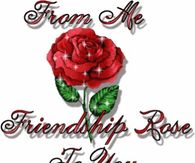 From Me Friendship Rose to You