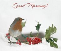 Good Morning