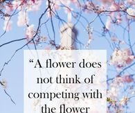 Just Bloom