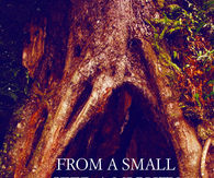 Small seed