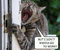 I dont wanna go to work
