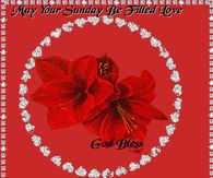 May your Sunday be filled with Love - God Bless