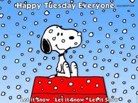 Happy Tuesday Everyone