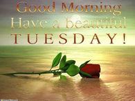 Good Morning Tuesday