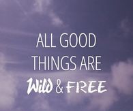 ALL GOOD THINGS ARE WILD & FREE