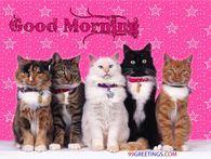Good Morning