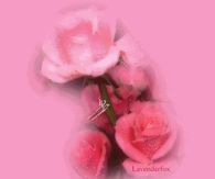 I sent you this rose because you are my friend