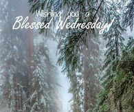 Wishing you a blessed Wednesday