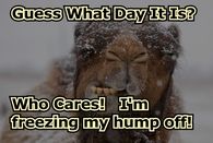 Guess what day it is