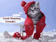 Good Morning Friends