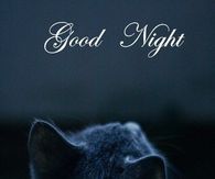 Good Night