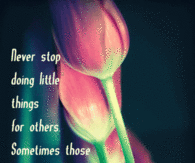 Good Morning Never stop doing little things for others...