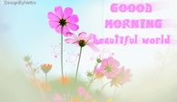 Good Morning Beautiful World