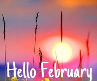 Hello February