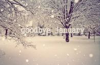 Goodbye January