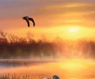 Sunset on Swan Lake