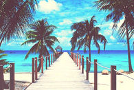 Welcome to paradise