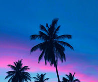 Tropical Sunset