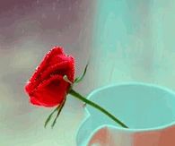 Good Morning I Miss You